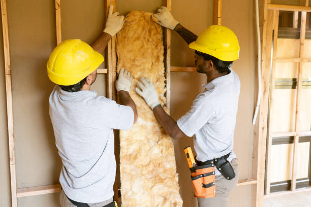 Professional Insulation in Blaine, MN